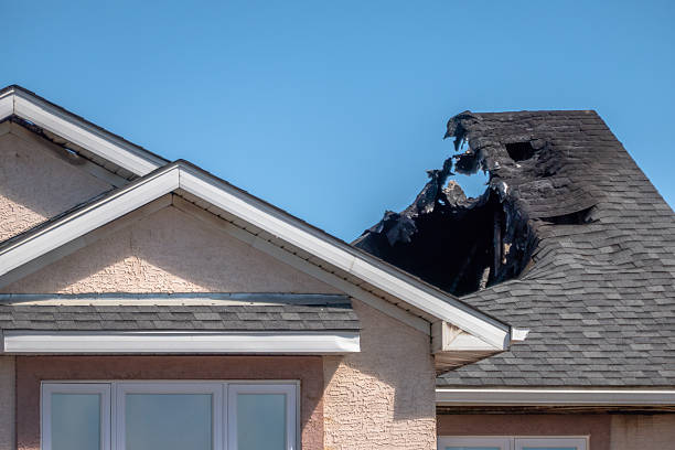 Top rated local Board Up Services specialists in Carver, MN
